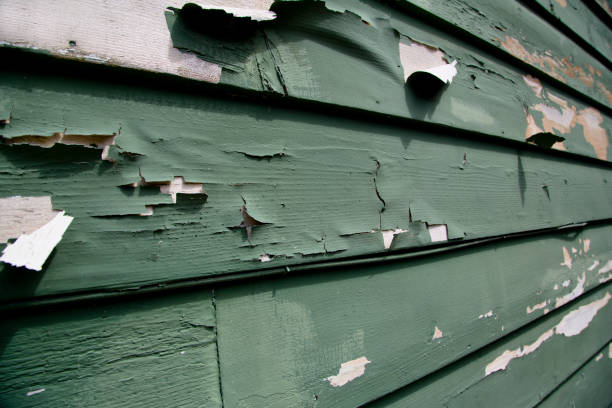 Ponce Inlet, FL Junk Removal Company