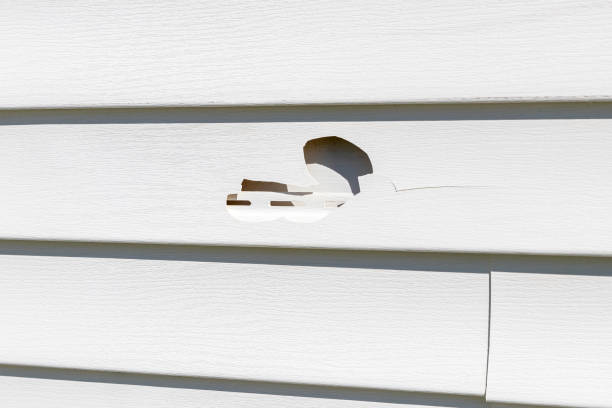 Best Hoarding Cleanup  in Ponce Inlet, FL